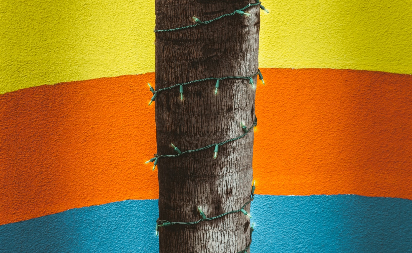 11+ (Eleven-plus) Exam